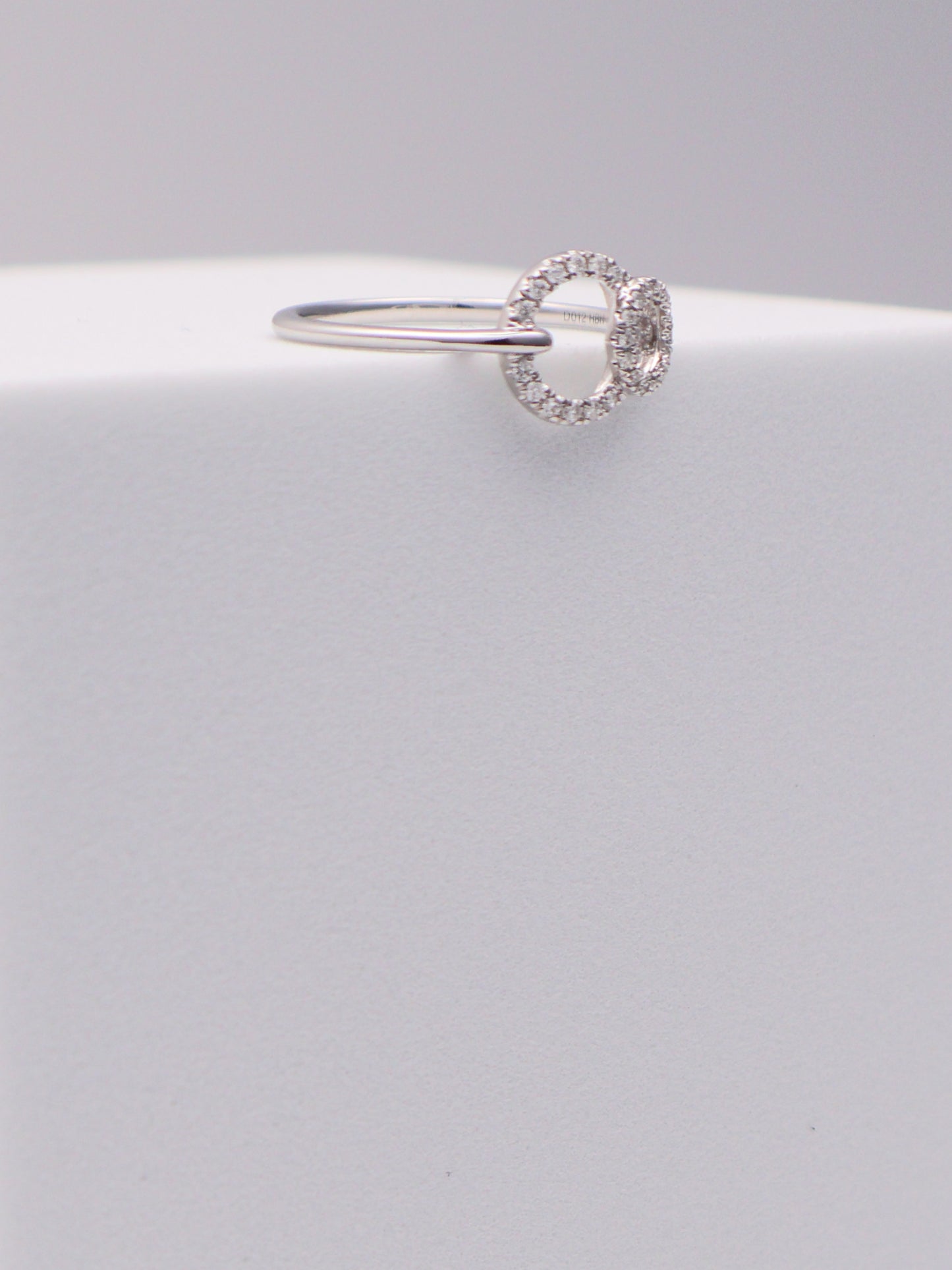14k WG Diamond Circle Ring