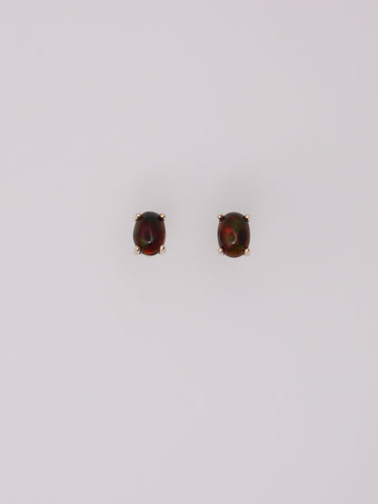 10K Yellow Gold Black Opal Studs