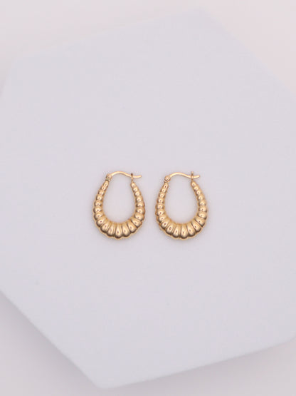 14k Gold Oval Shell Hoop Earrings