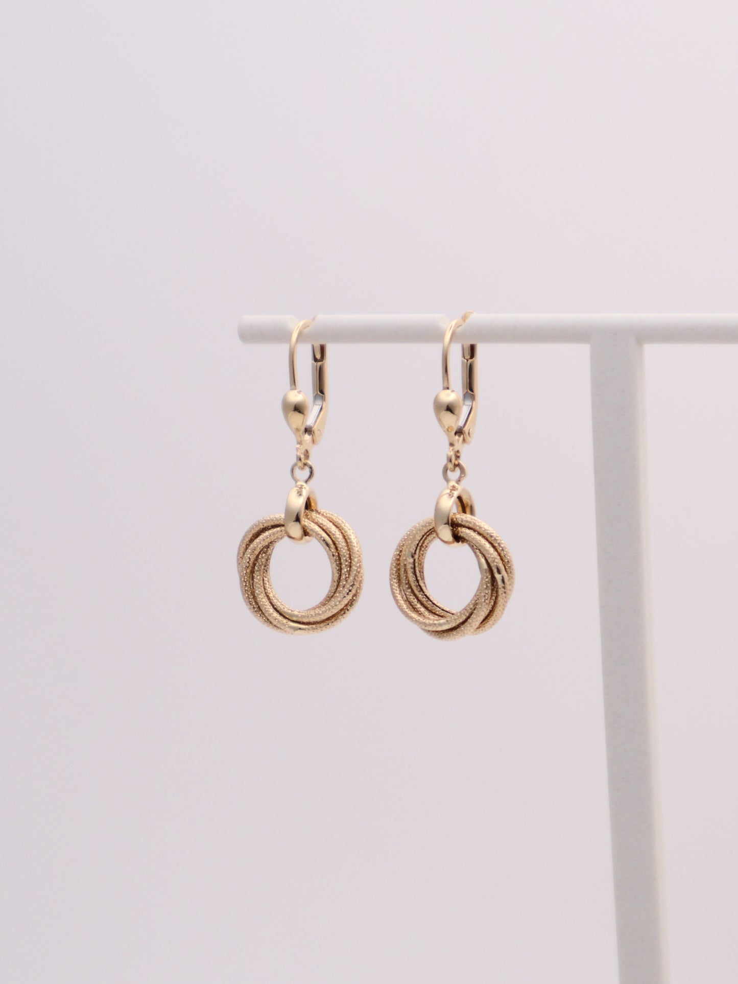 14k Gold Interlocking Circles Earrings