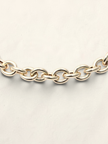 Zafrah 14K yellow gold rolo link bracelet featuring polished round links on a neutral background.