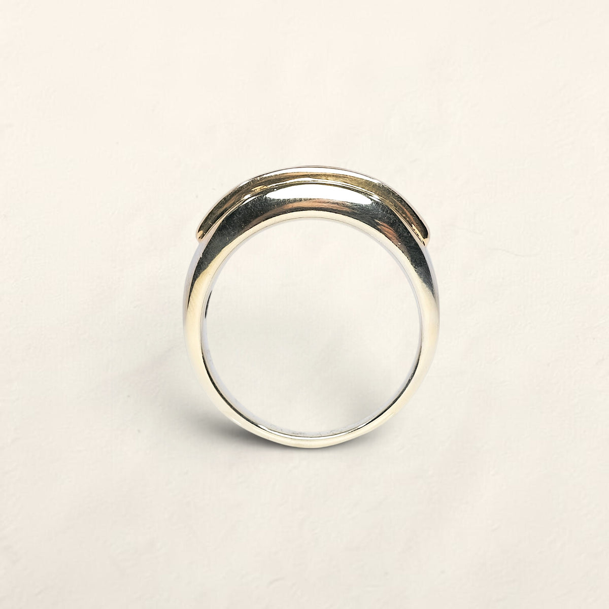 14k Two Tone Diamond Band