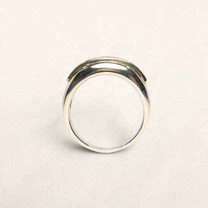 14k Two Tone Diamond Band