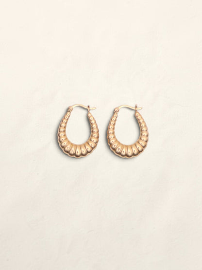14k Gold Oval Shell Hoop Earrings