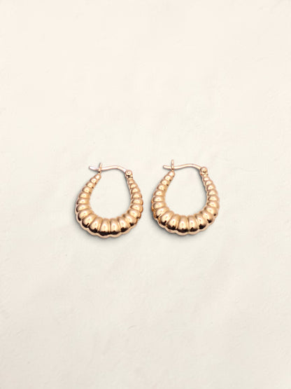 14k Gold Oval Shell Hoop Earrings