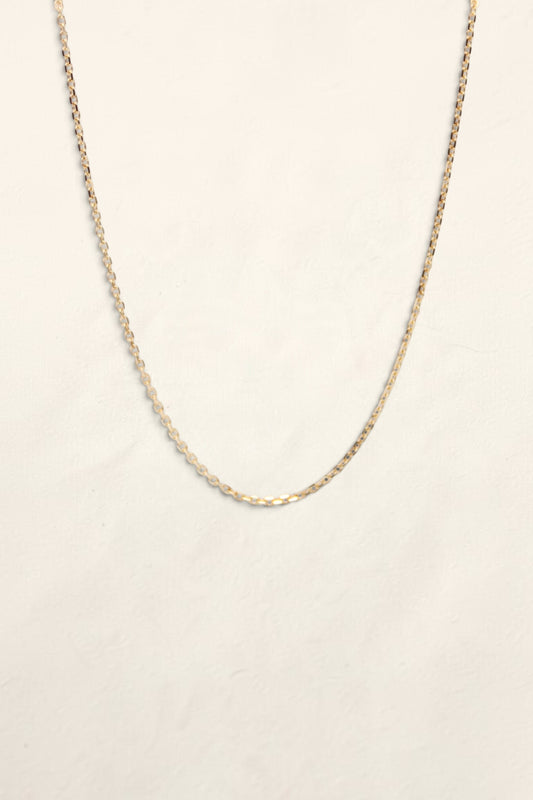 14K Yellow Gold Rolo Necklace